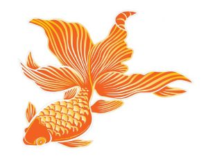 goldfish_web